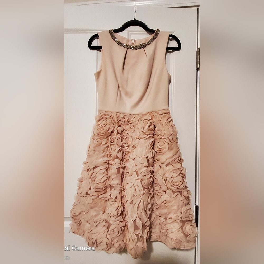 Dorothy Perkins Pale Pink And Rosette Dress